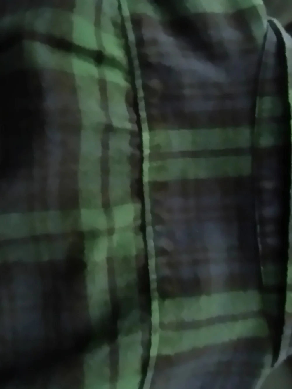 J. Crew new w/o tags Large Slim Fit Men’s Flannel - Green & Navy Plaid